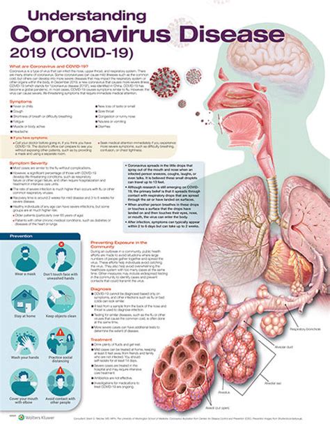 Understanding COVID.